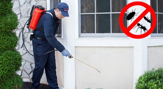 Havza Böcek İlaçlama böcek ilaçlama ve haşere kontrolü — ilaclama-tr.com